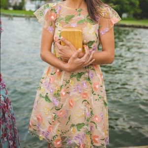 Shoshanna Alize Dress in Blush. Size 12.